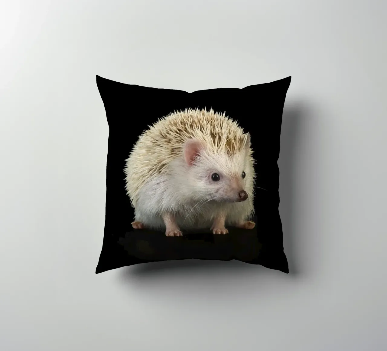 Riccio bianco cuscino da Curious Collections by Marielle Leenders