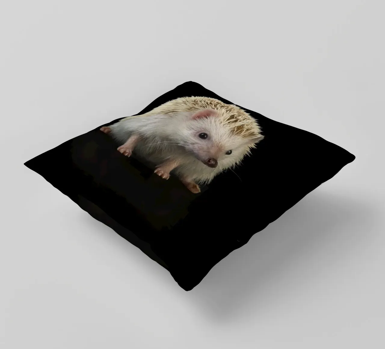 Riccio bianco cuscino da Curious Collections by Marielle Leenders