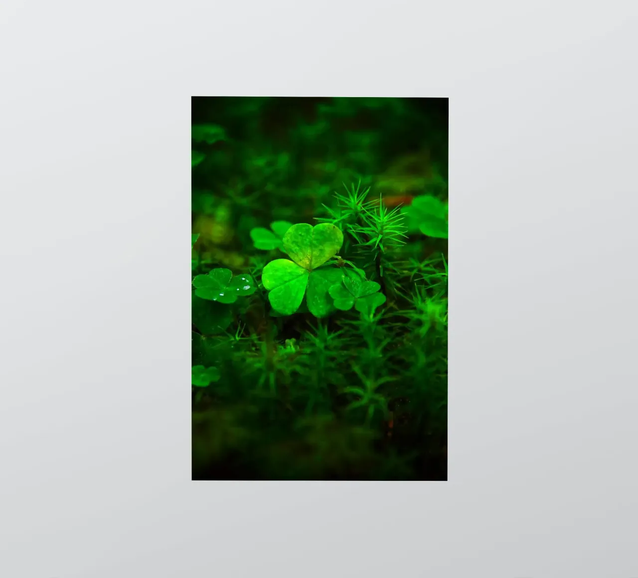 Cloverleaf in the forest adesivo da Fjöllart