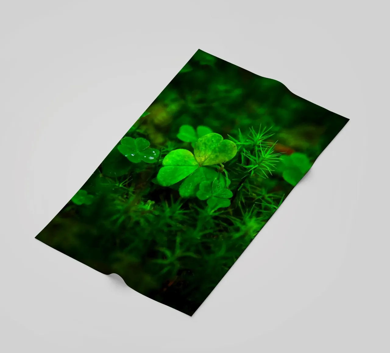 Cloverleaf in the forest telo mare da Fjöllart