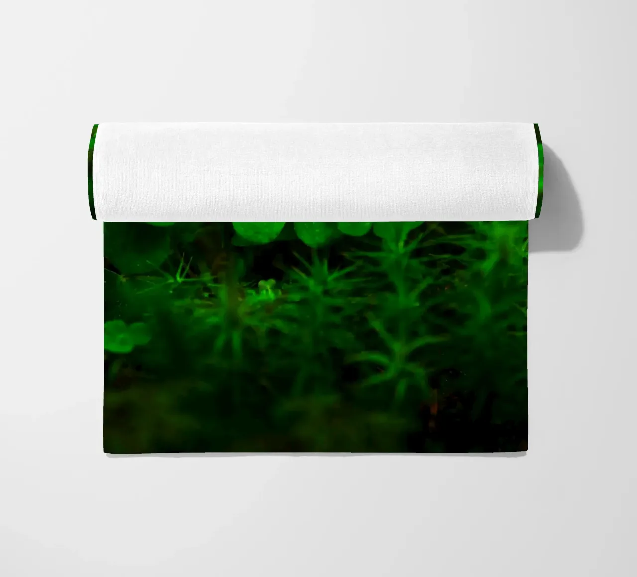 Cloverleaf in the forest telo mare da Fjöllart