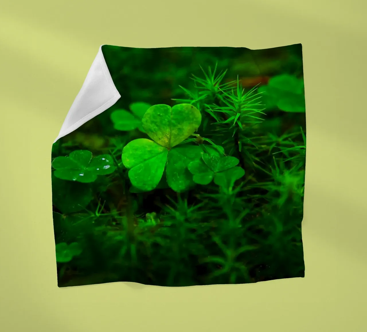 Cloverleaf in the forest coperta in pile da Fjöllart