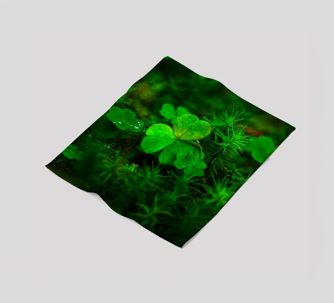 Cloverleaf in the forest coperta in pile da Fjöllart