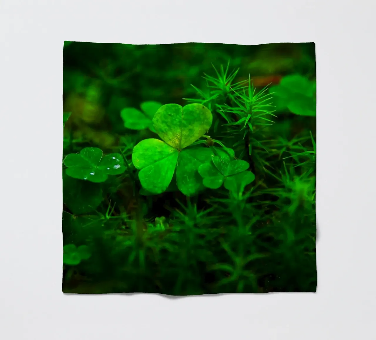 Cloverleaf in the forest coperta in pile da Fjöllart