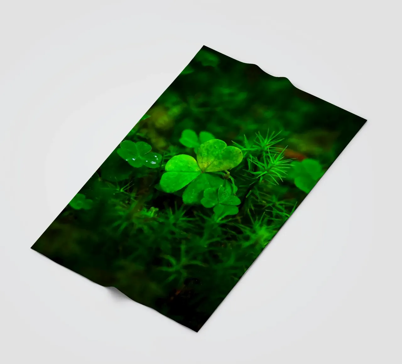 Cloverleaf in the forest coperta in pile da Fjöllart