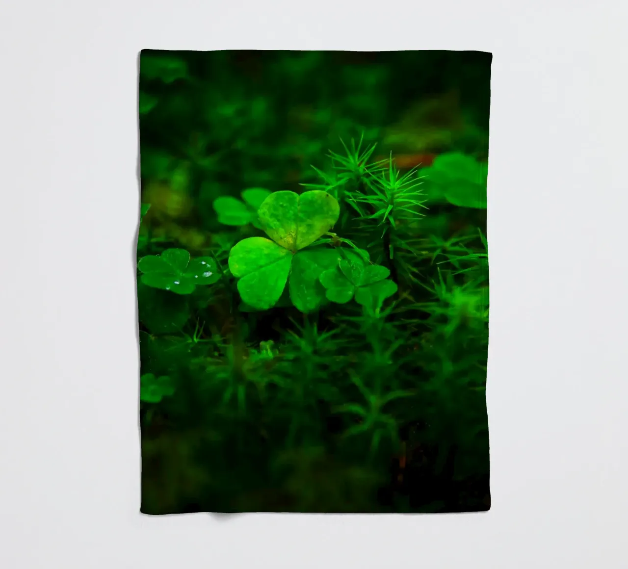 Cloverleaf in the forest coperta in pile da Fjöllart