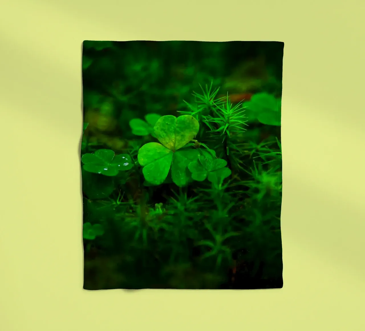 Cloverleaf in the forest coperta in pile da Fjöllart