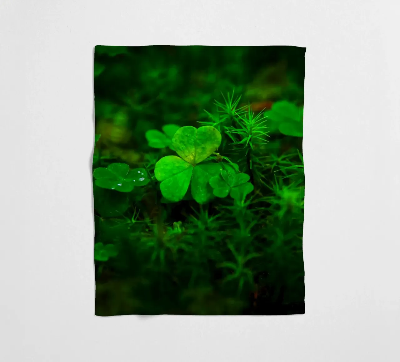 Cloverleaf in the forest coperta in pile da Fjöllart