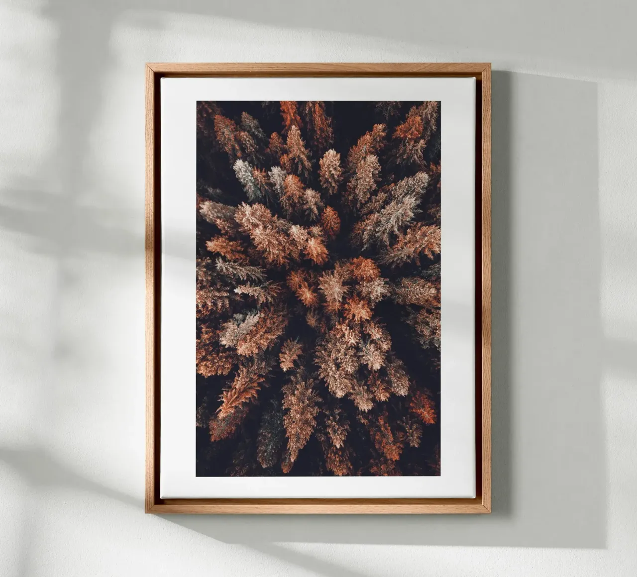 Vue aérienne de la forêt dans les tons de terre | Photographie de la nature tableau mural toile avec Caisse américaine de Whole©