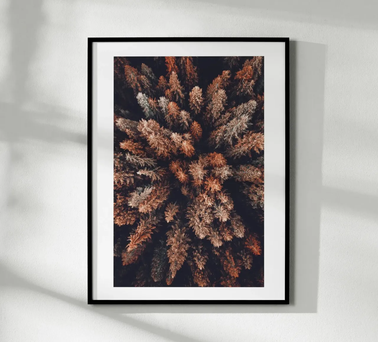 Vue aérienne de la forêt dans les tons de terre | Photographie de la nature tableau mural poster de Whole©