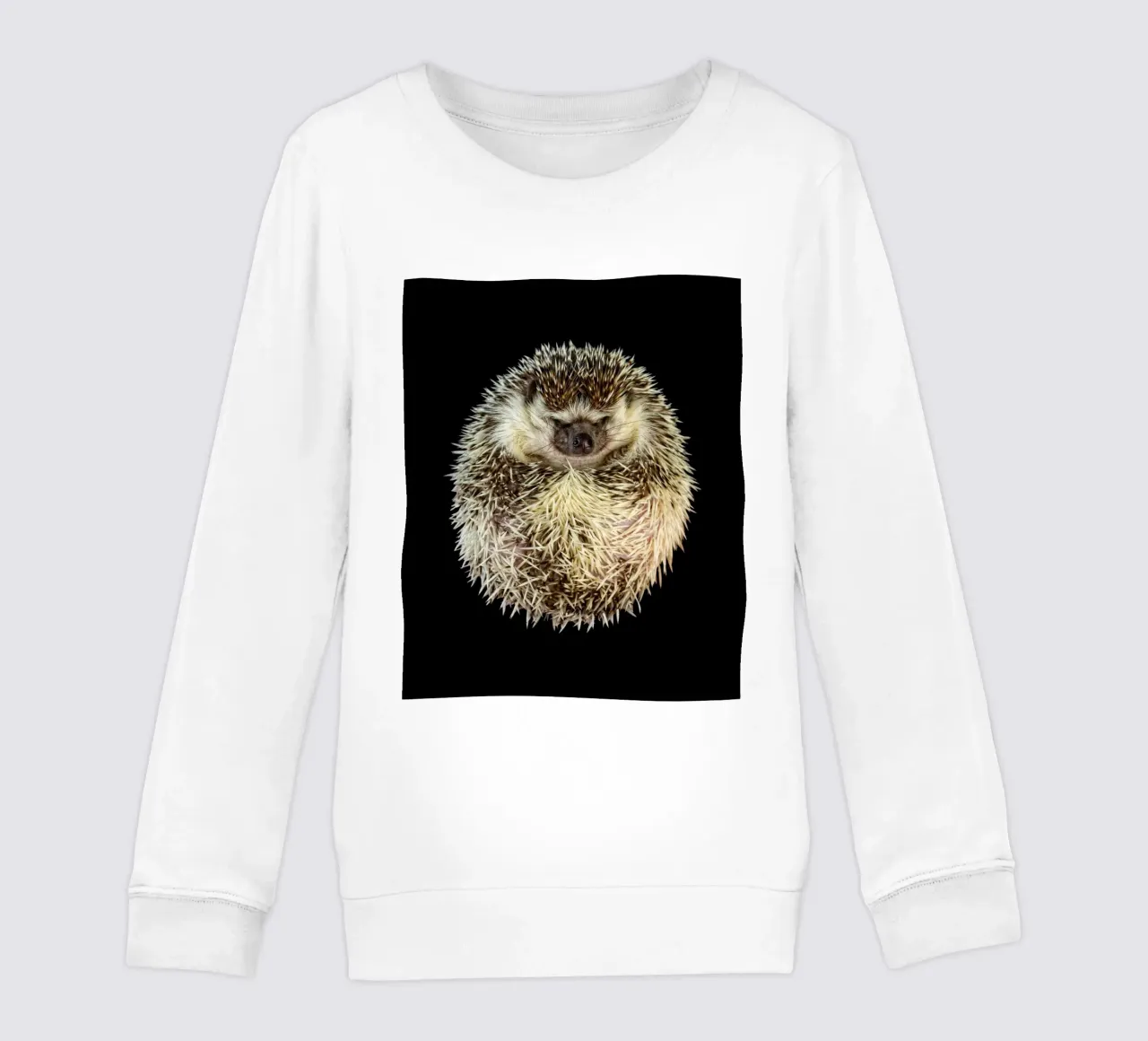 Riccio bianco/marrone felpa bambino da Curious Collections by Marielle Leenders
