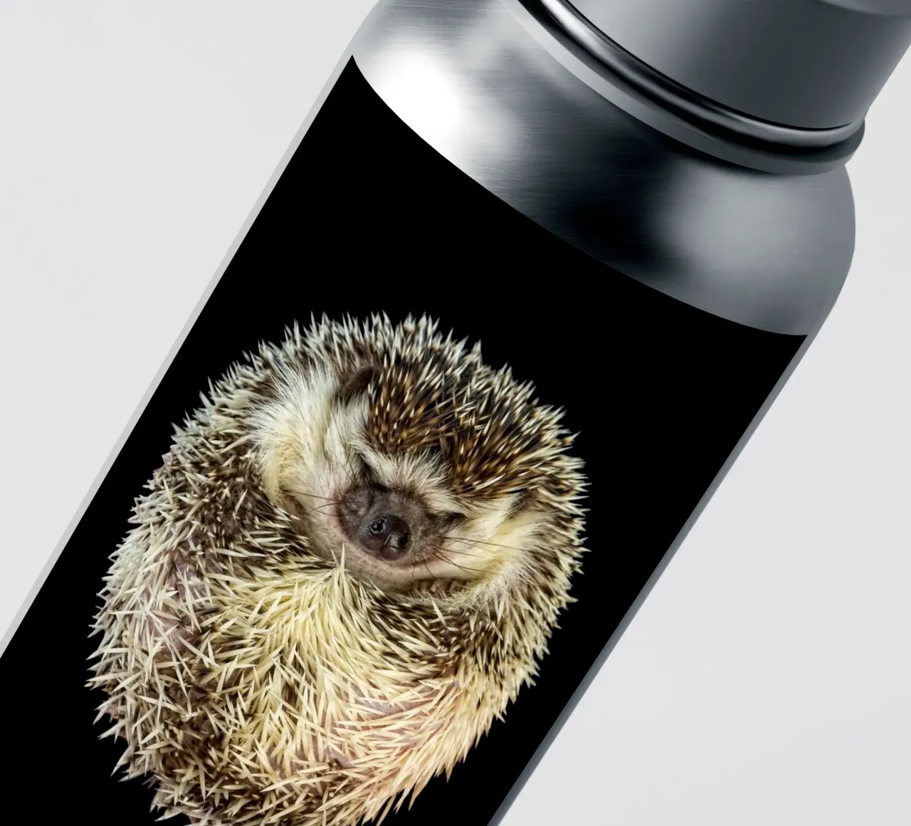 Weiß/brauner Igel Sticker von Curious Collections by Marielle Leenders