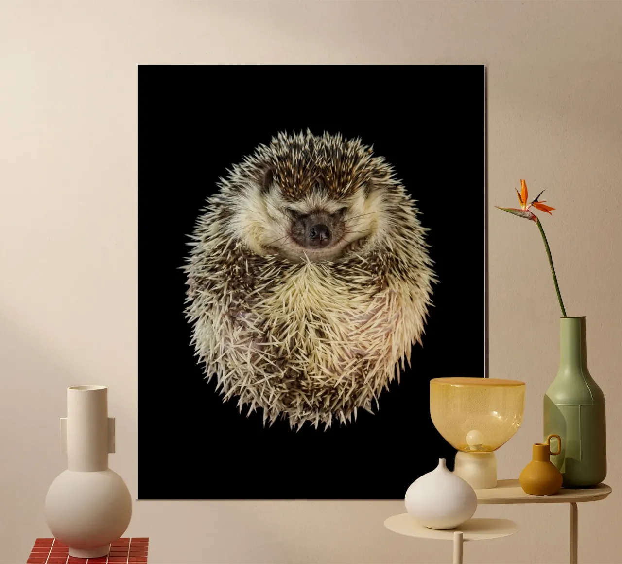 Weiß/brauner Igel Poster von Curious Collections by Marielle Leenders