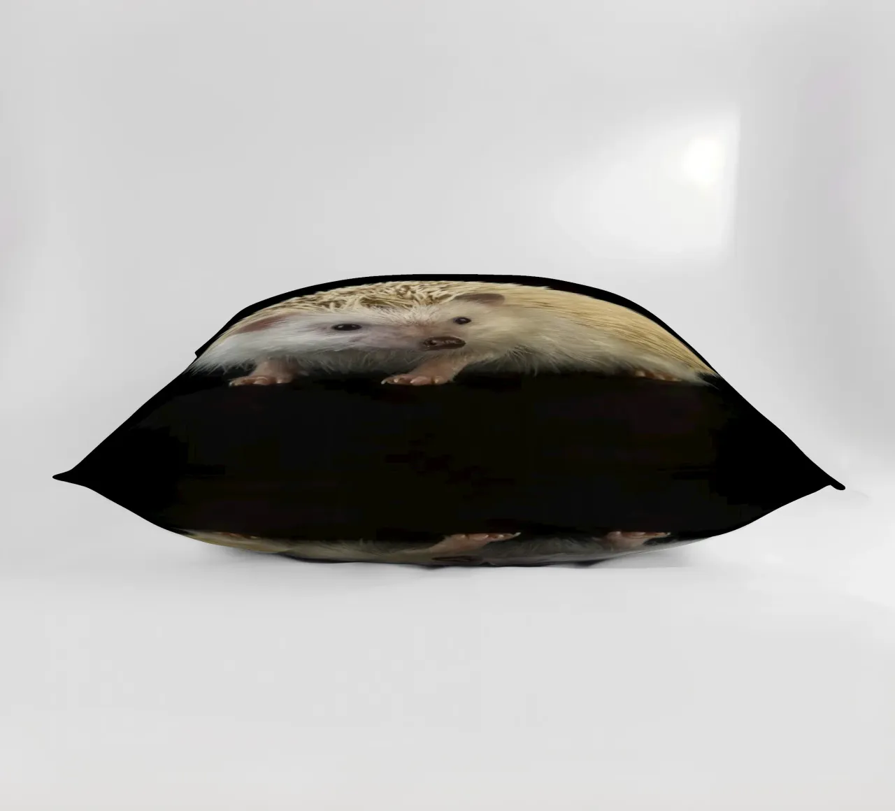 Riccio bianco cuscino da Curious Collections by Marielle Leenders