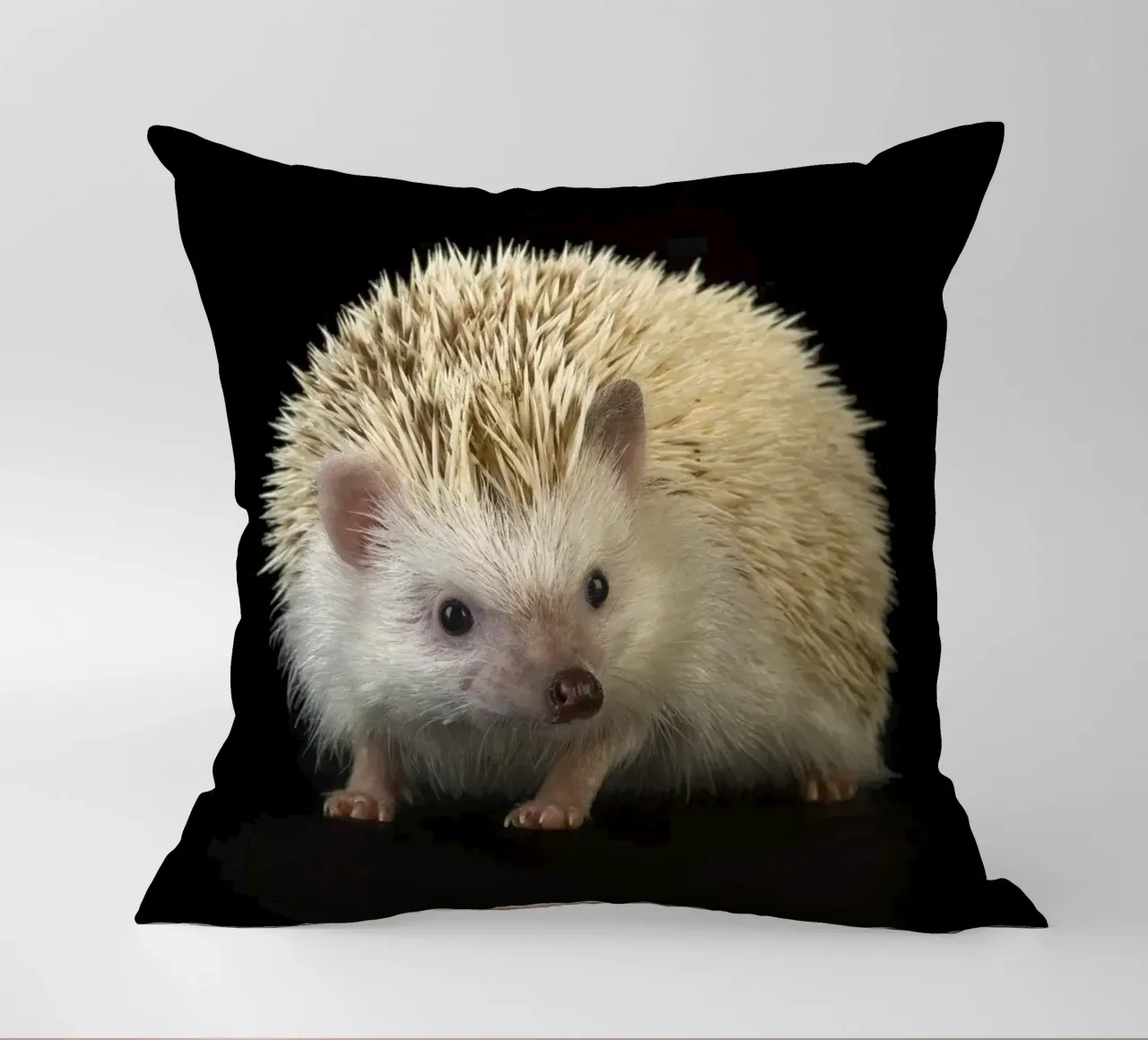 Riccio bianco cuscino da Curious Collections by Marielle Leenders