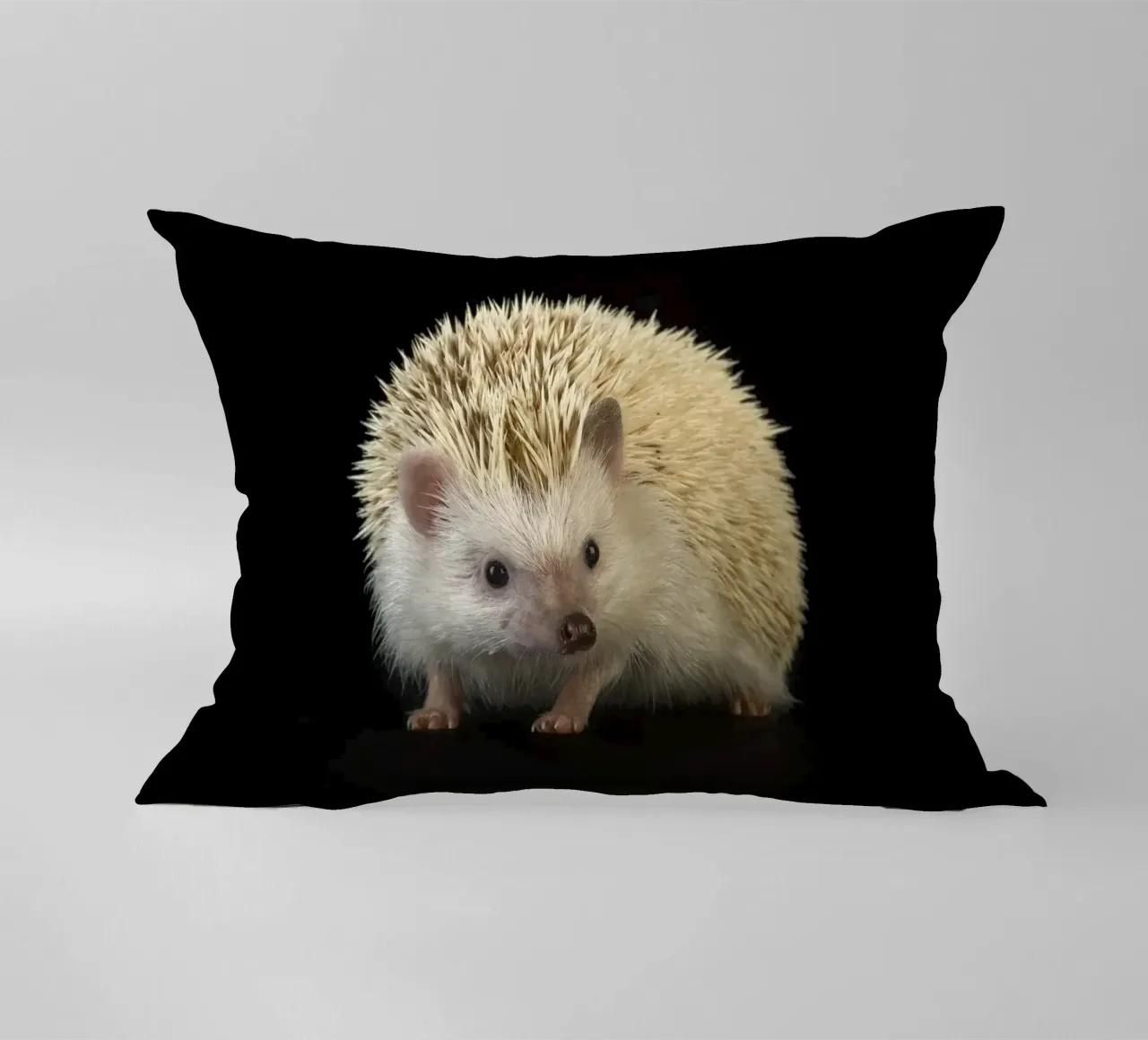 Riccio bianco cuscino da Curious Collections by Marielle Leenders