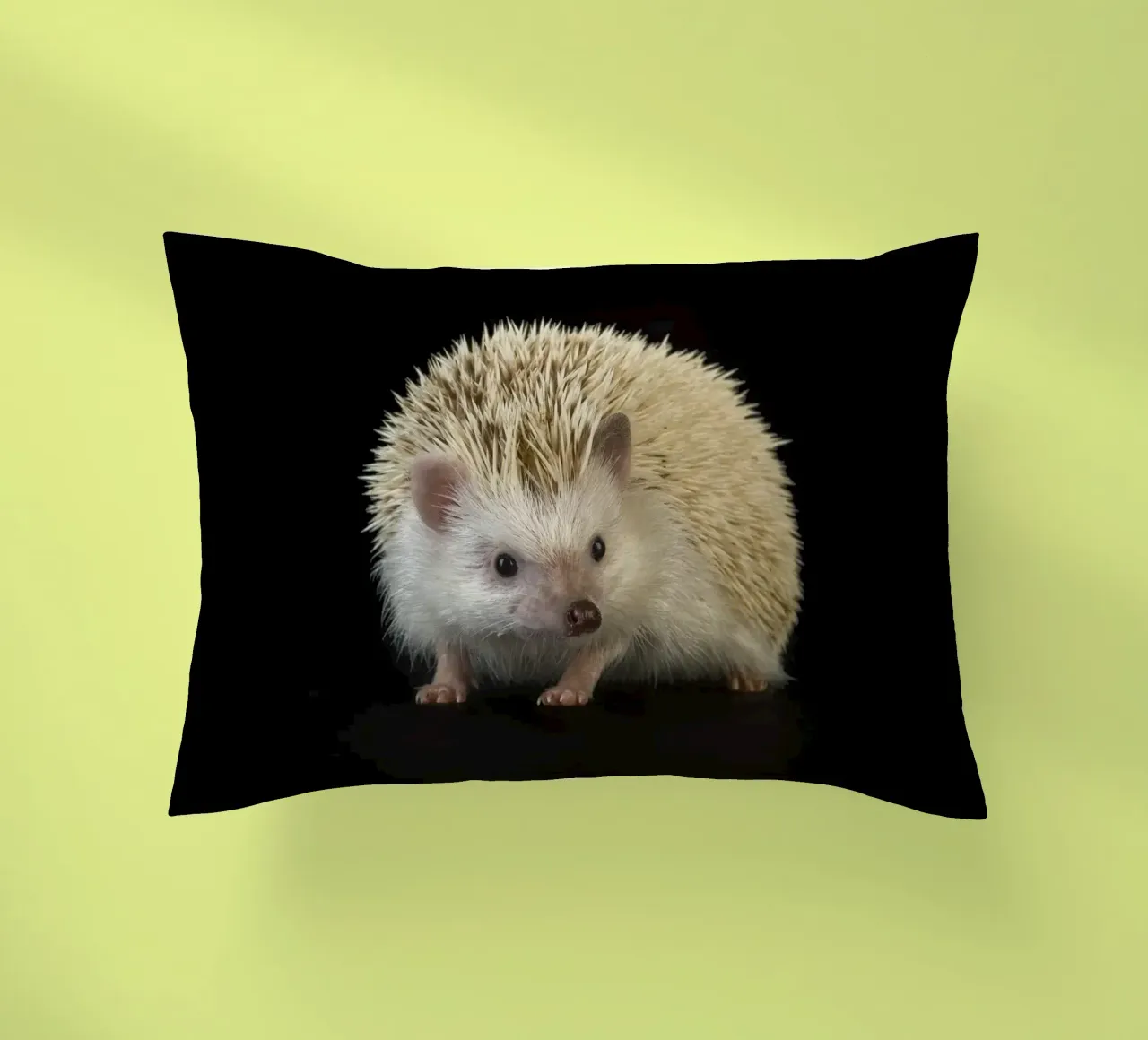 Riccio bianco cuscino da Curious Collections by Marielle Leenders