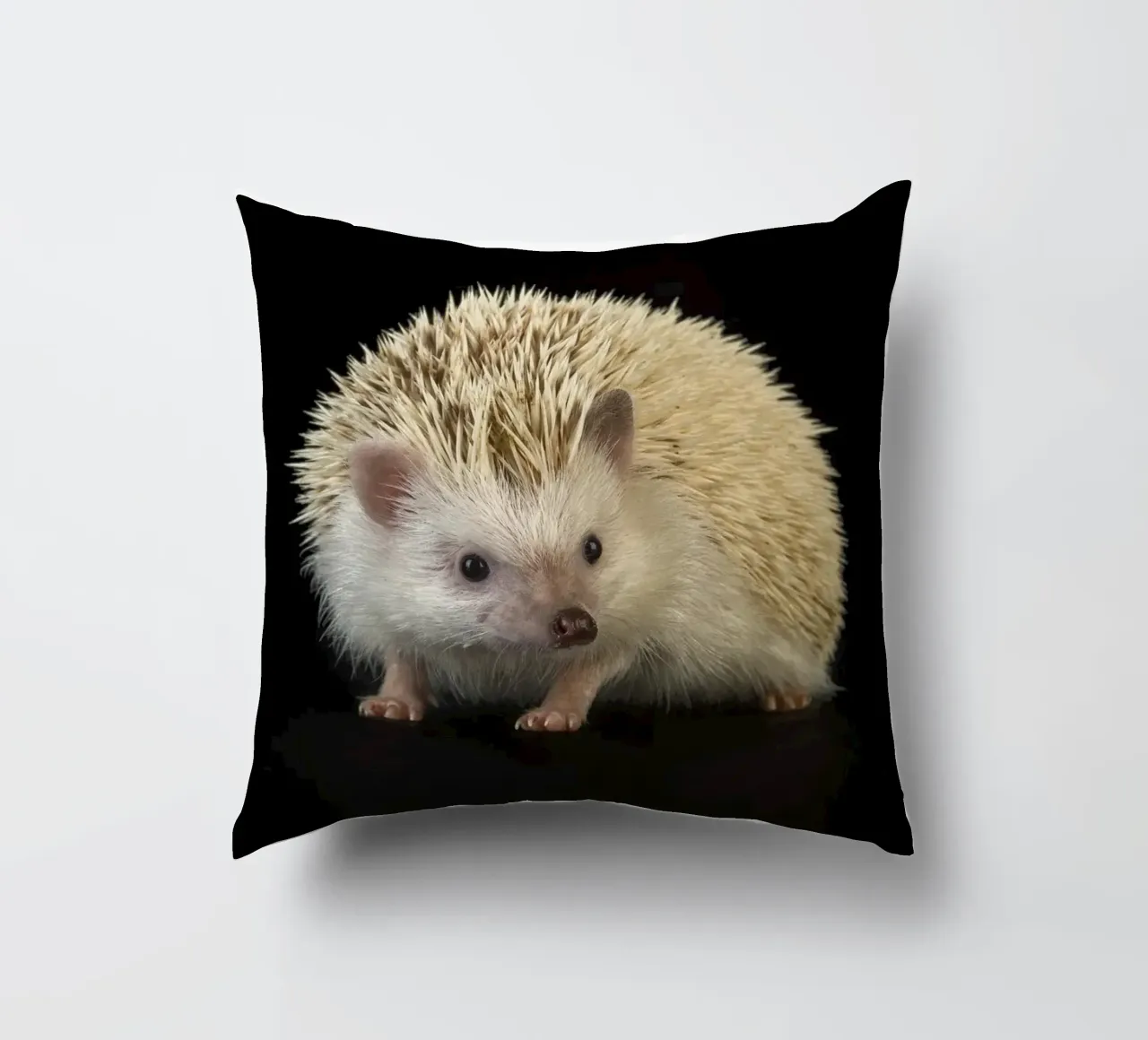 Riccio bianco cuscino da Curious Collections by Marielle Leenders