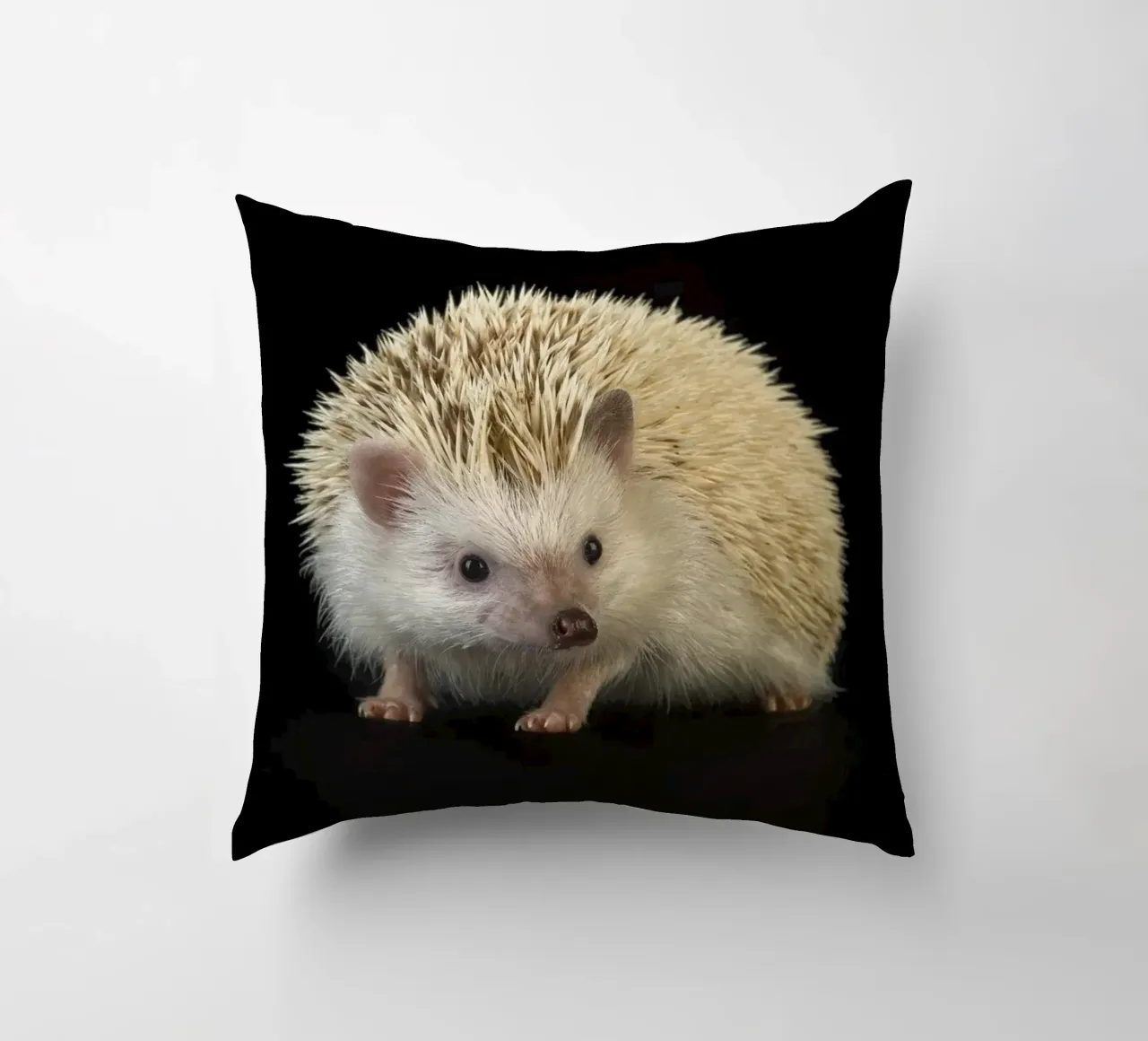 Riccio bianco cuscino da Curious Collections by Marielle Leenders
