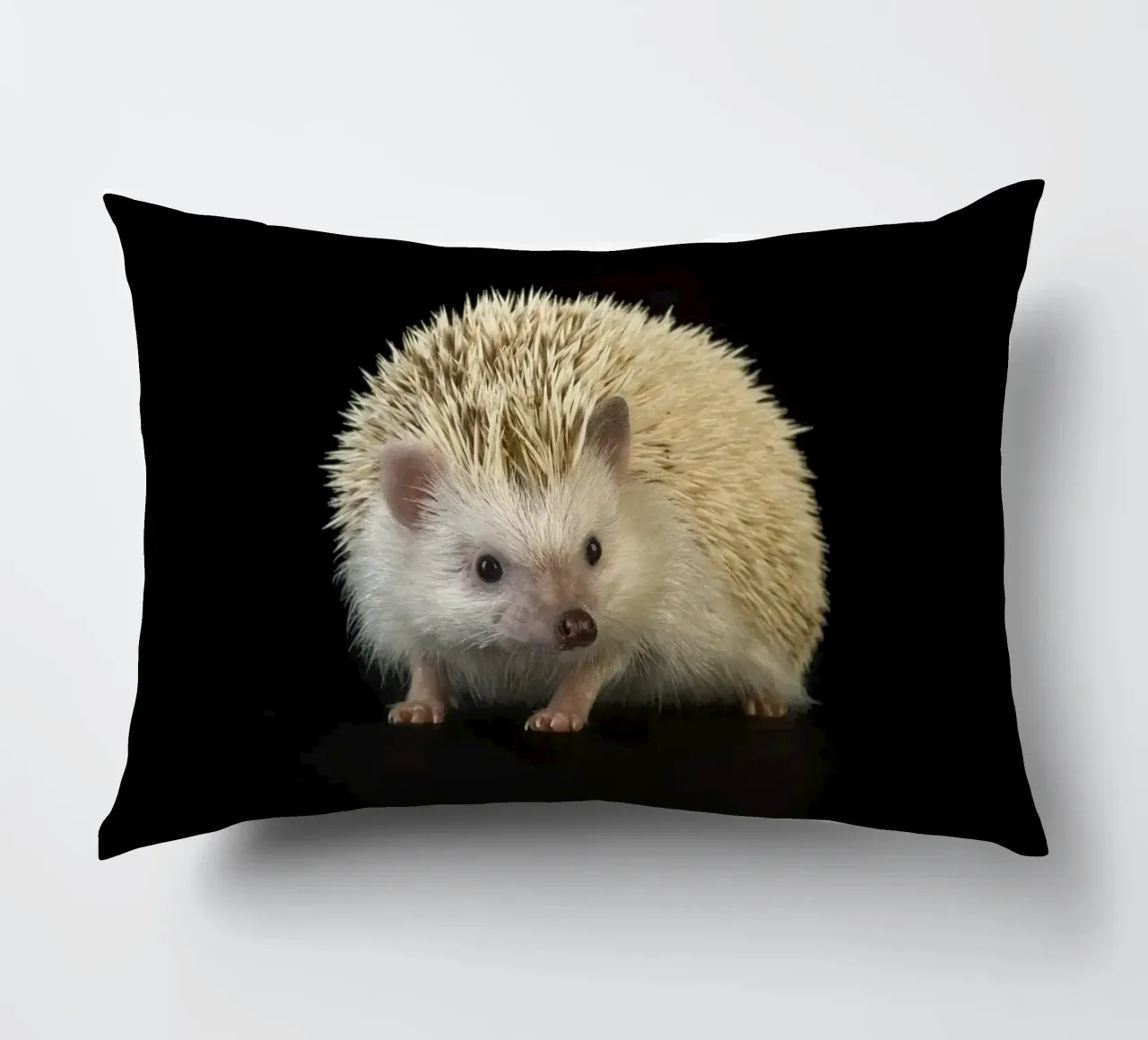 Riccio bianco cuscino da Curious Collections by Marielle Leenders