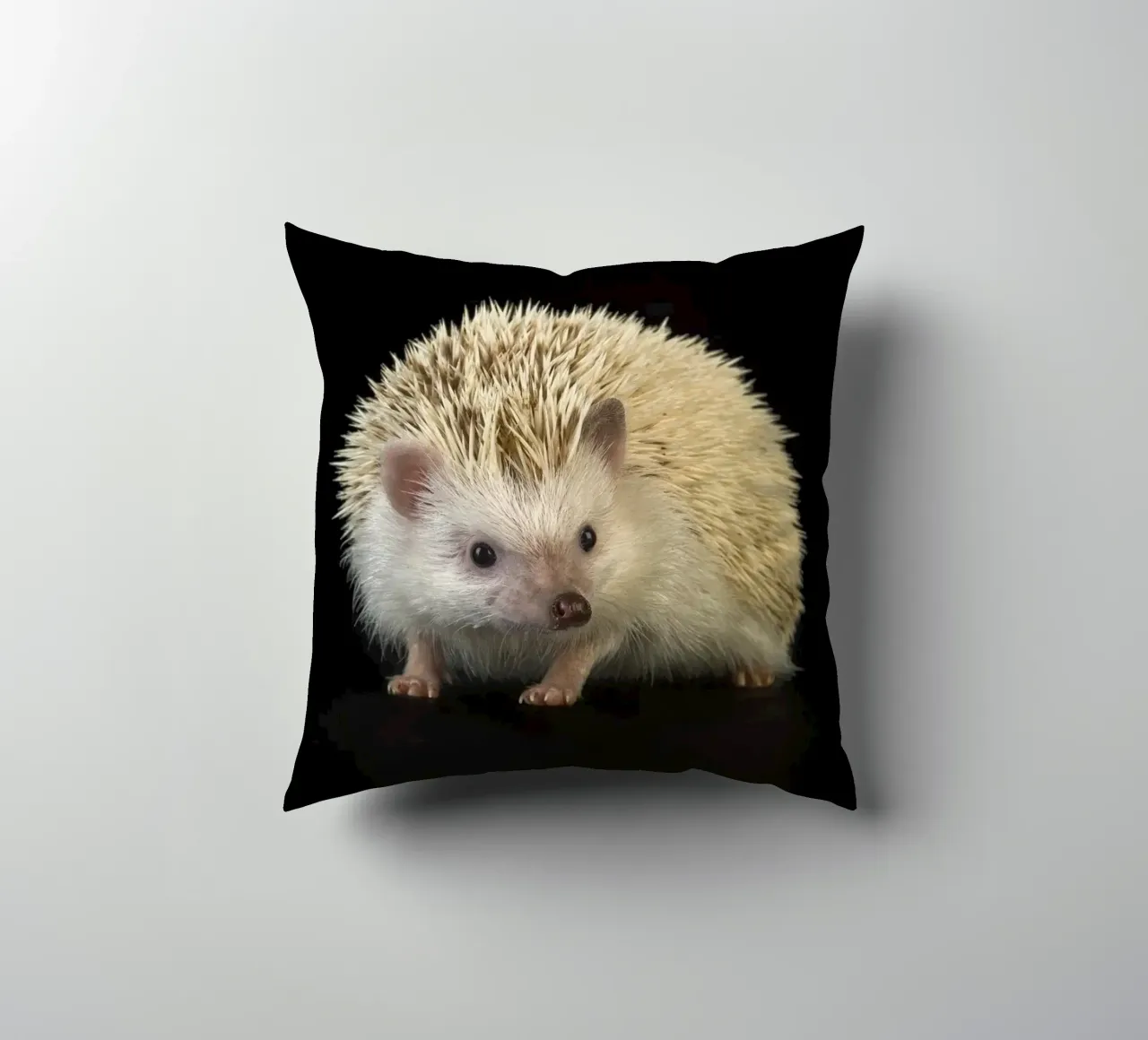 Riccio bianco cuscino da Curious Collections by Marielle Leenders