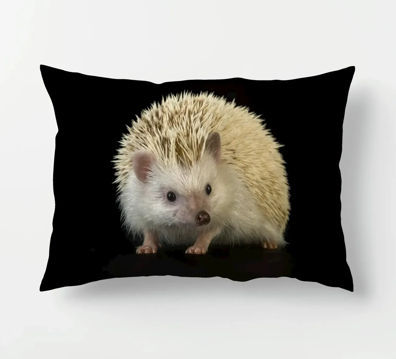 Riccio bianco cuscino da Curious Collections by Marielle Leenders