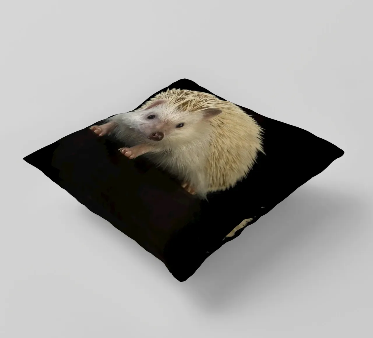 Riccio bianco cuscino da Curious Collections by Marielle Leenders