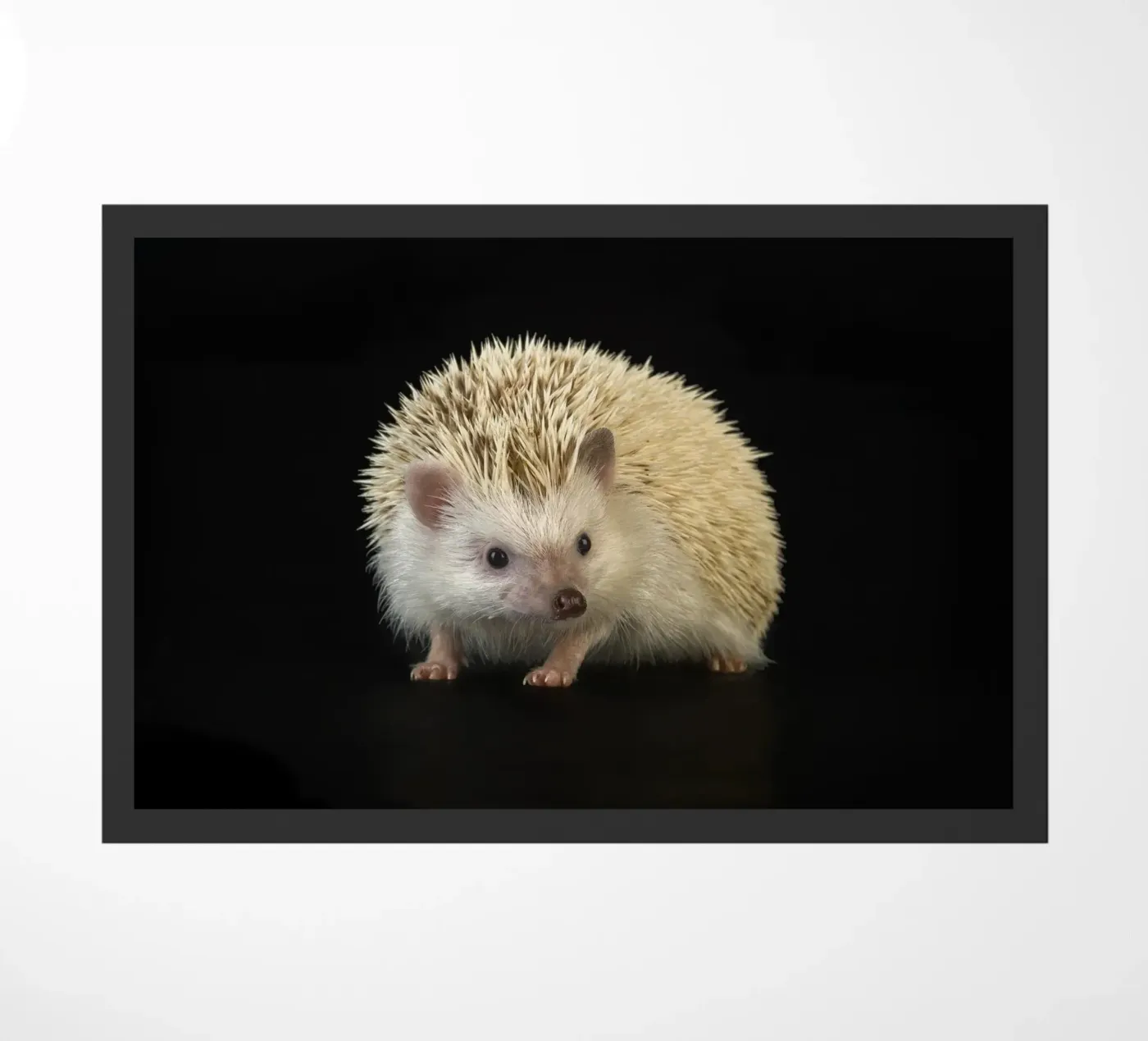 White Hedgehog Fußmatte von Curious Collections by Marielle Leenders