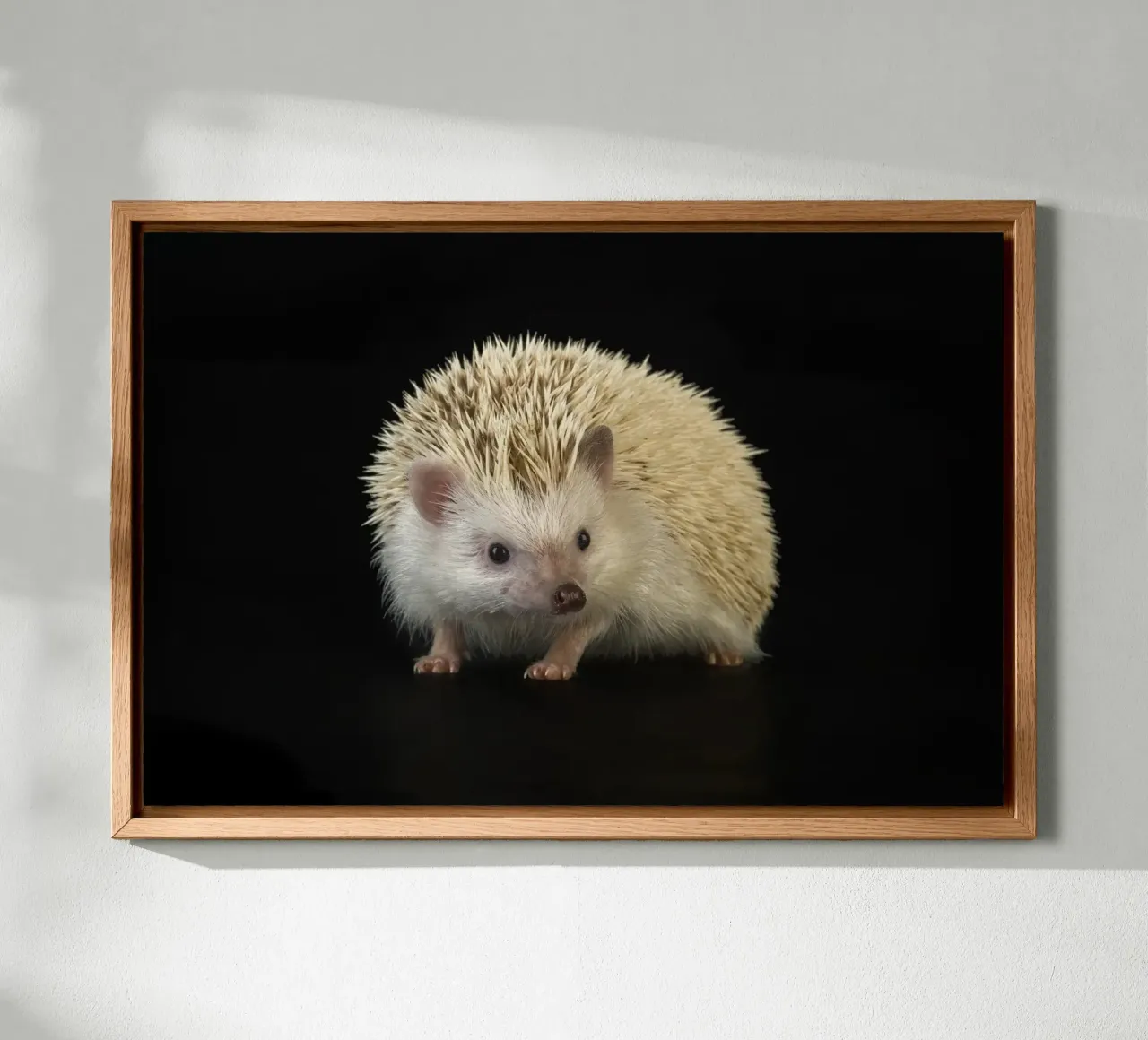 Riccio bianco alluminio dibond da Curious Collections by Marielle Leenders