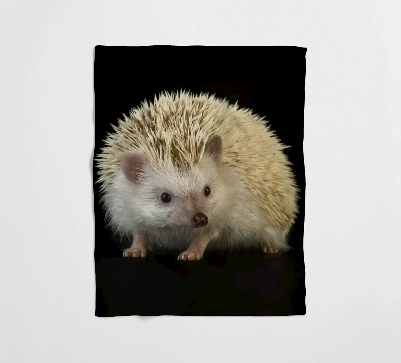 Riccio bianco coperta in pile da Curious Collections by Marielle Leenders