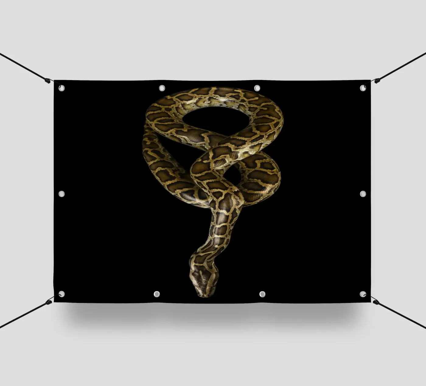 Python bâche pvc de Curious Collections by Marielle Leenders