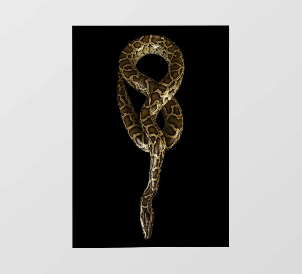 Python bâche pvc de Curious Collections by Marielle Leenders