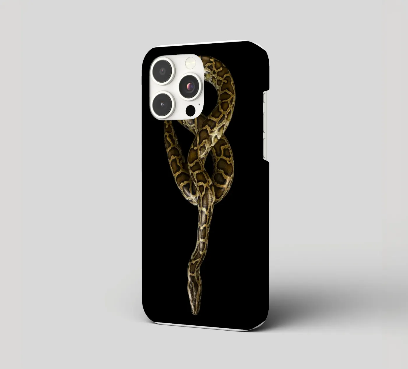 Python iPhone Hülle von Curious Collections by Marielle Leenders