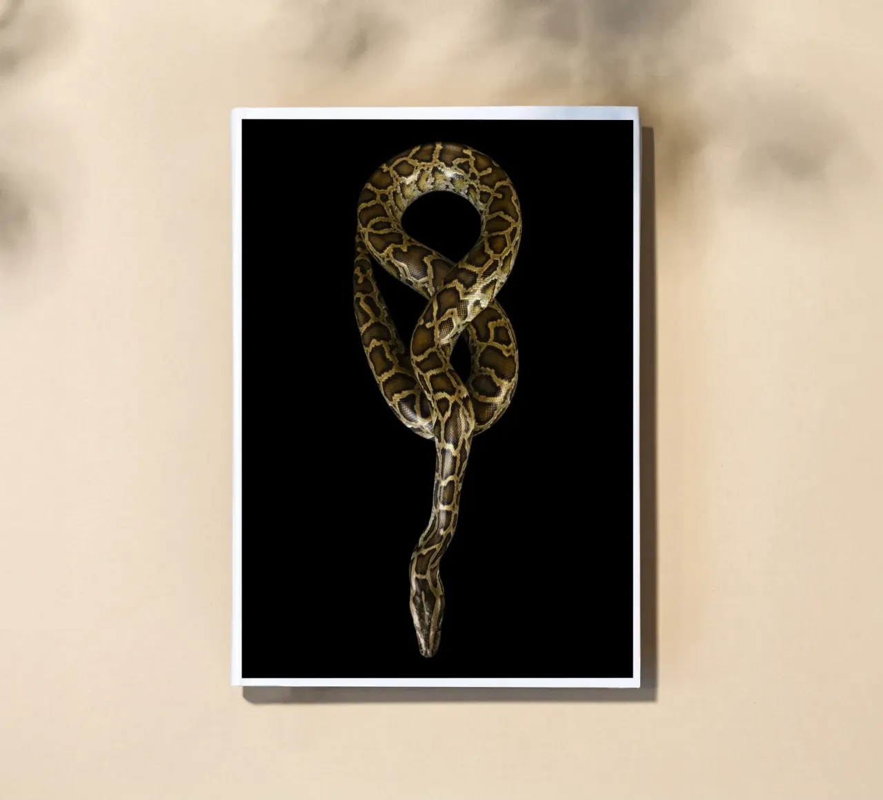 Python Notizbuch von Curious Collections by Marielle Leenders