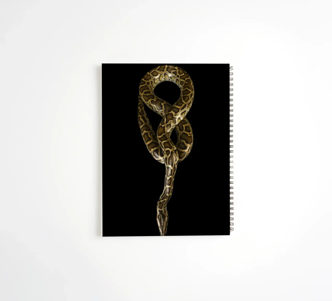 Python spiral notebook by Curious Collections by Marielle Leenders