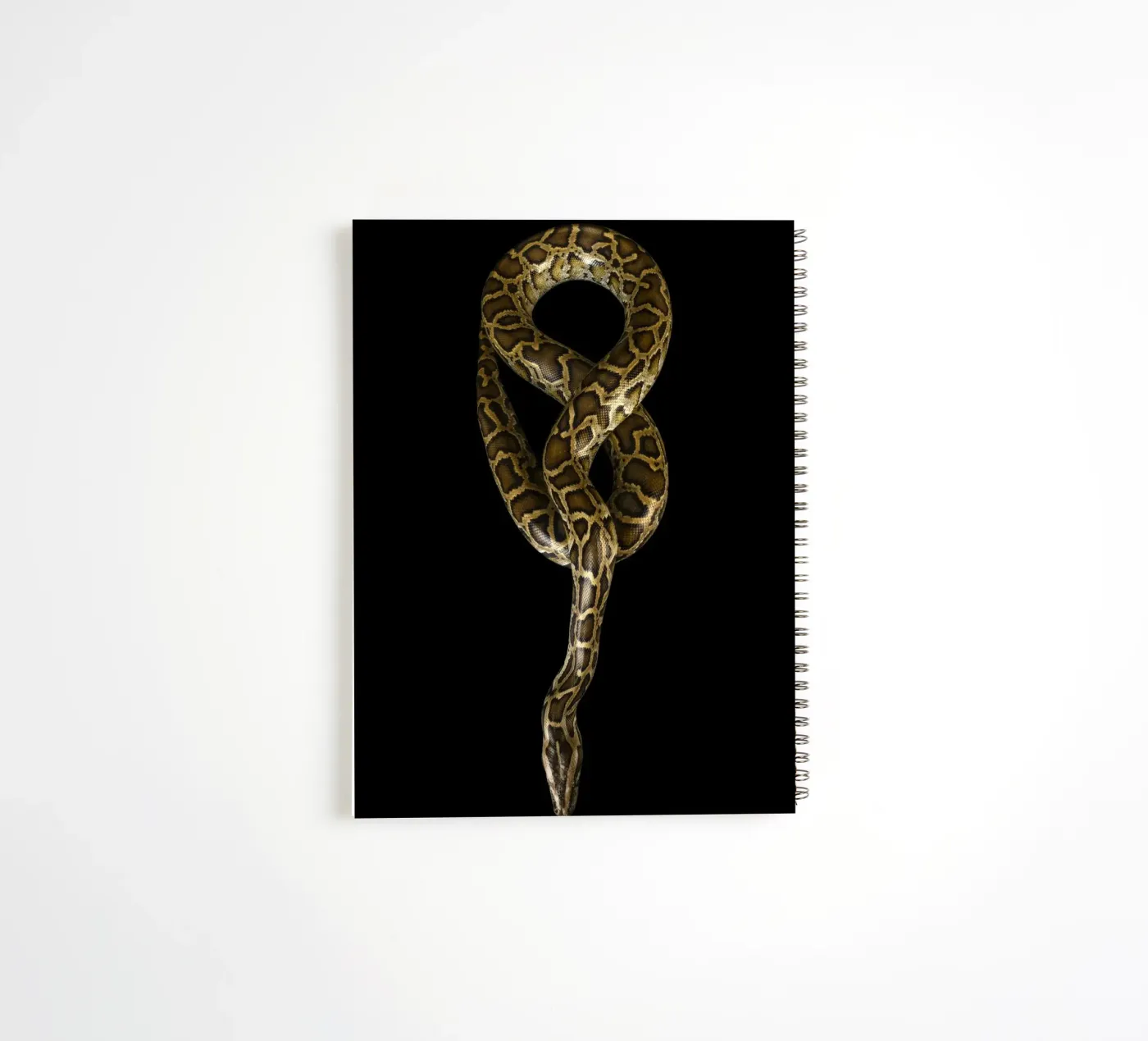 Python carnet à spirale de Curious Collections by Marielle Leenders