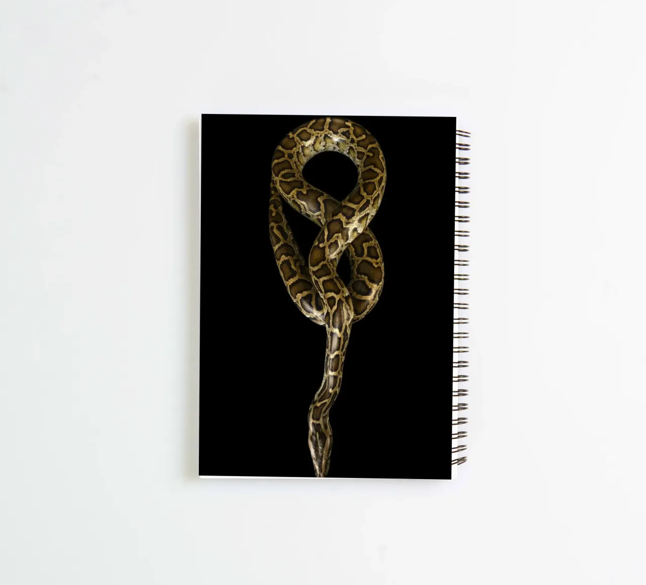 Python spiral notebook by Curious Collections by Marielle Leenders