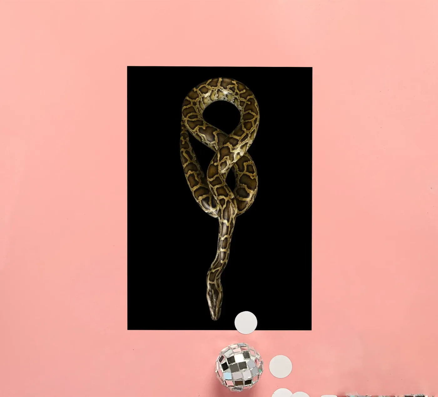 Python Sticker von Curious Collections by Marielle Leenders