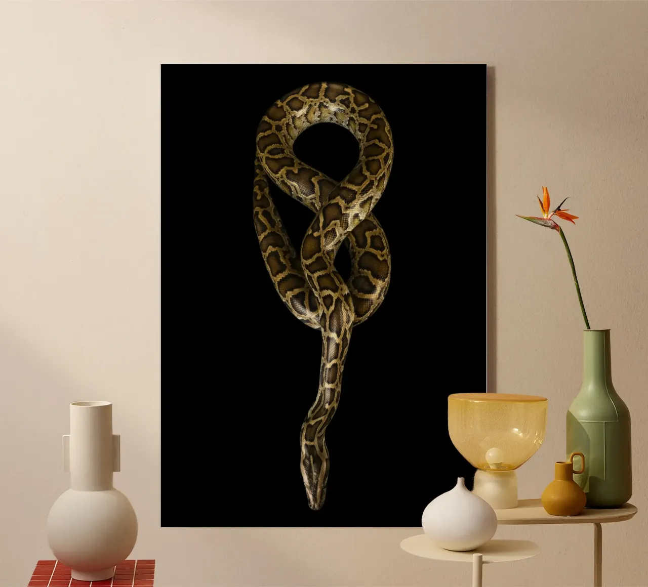Python plexiglas de Curious Collections by Marielle Leenders