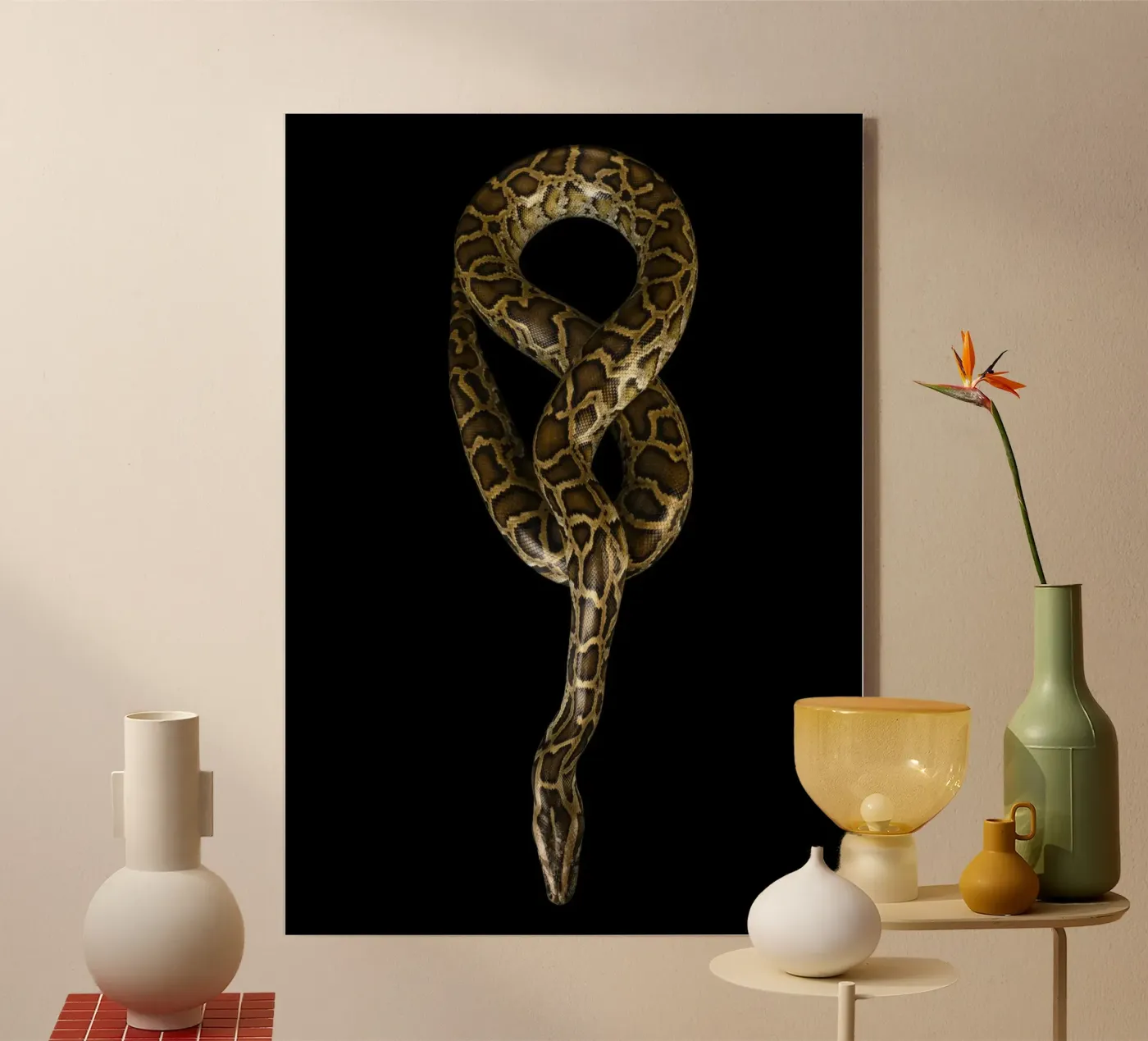 Python acrylic glass by Curious Collections by Marielle Leenders