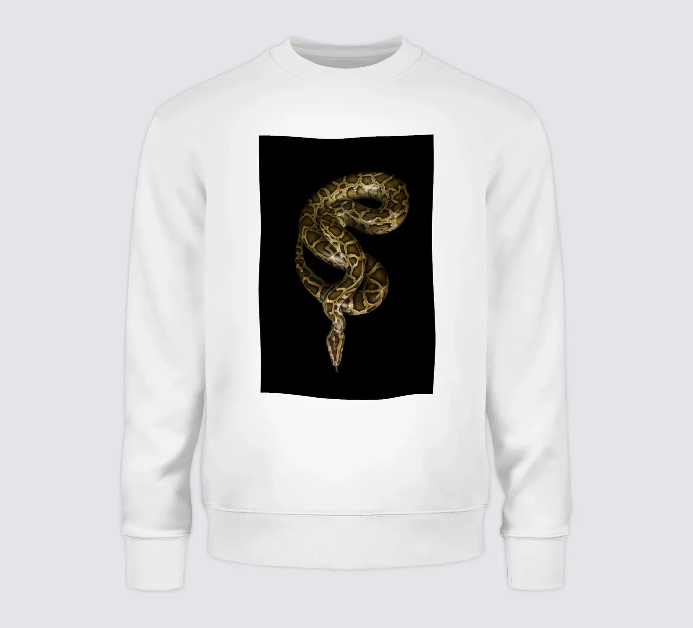 Python sweatshirt van Curious Collections by Marielle Leenders
