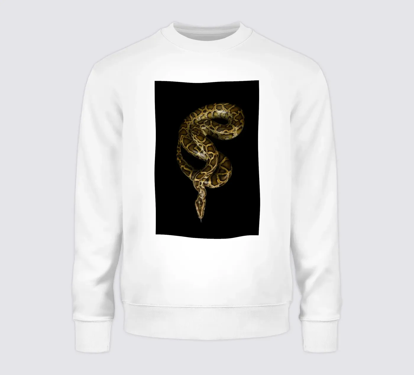 Python sweatshirt van Curious Collections by Marielle Leenders