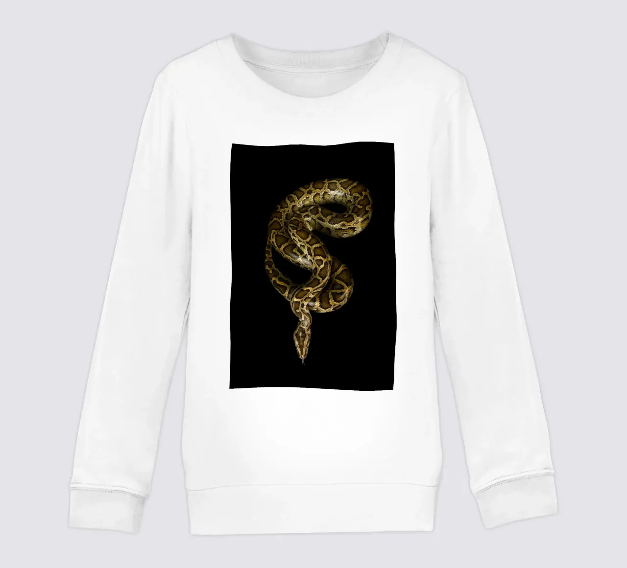 Python sudadera para niño de Curious Collections by Marielle Leenders