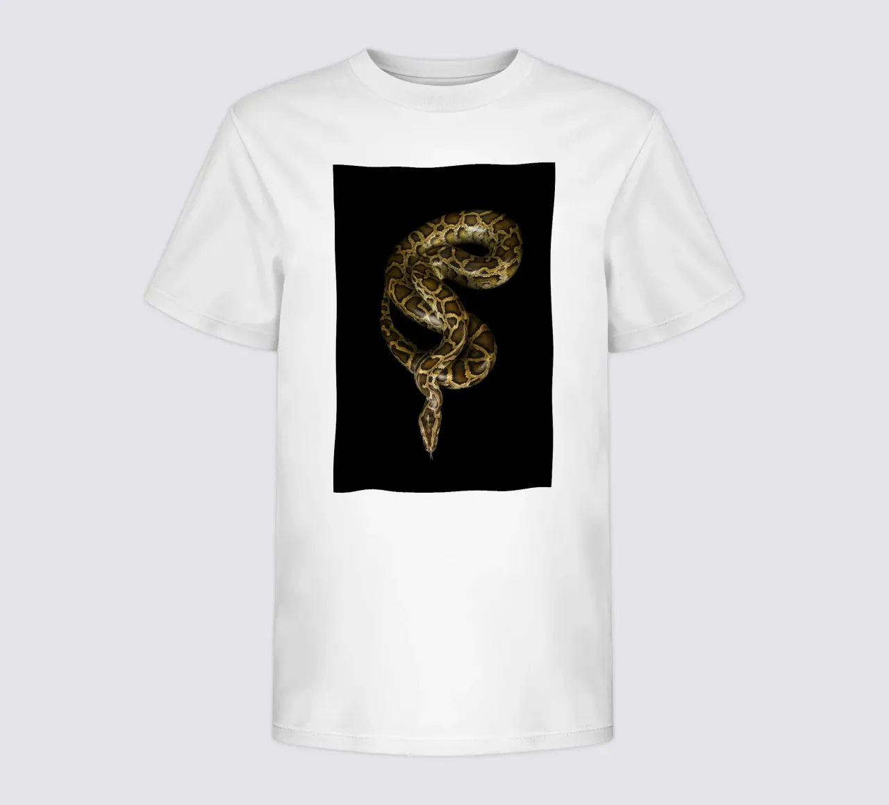Python kinder t-shirt van Curious Collections by Marielle Leenders