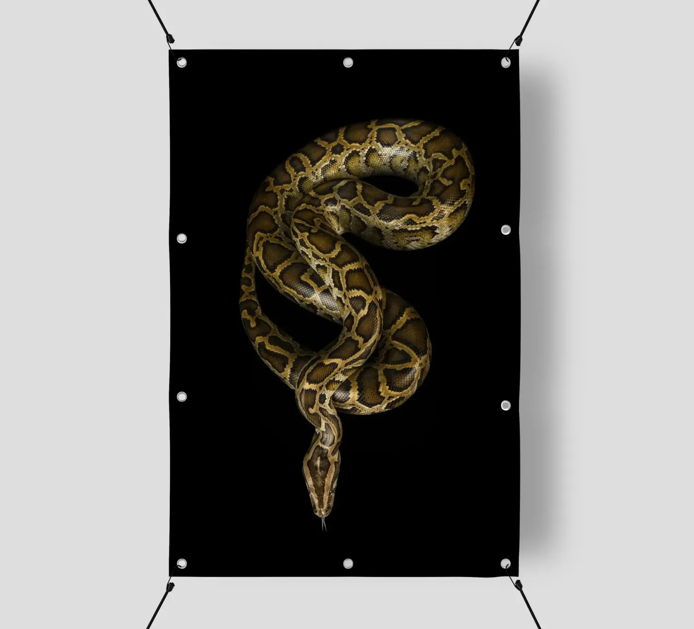 Pitone telo in pvc da Curious Collections by Marielle Leenders