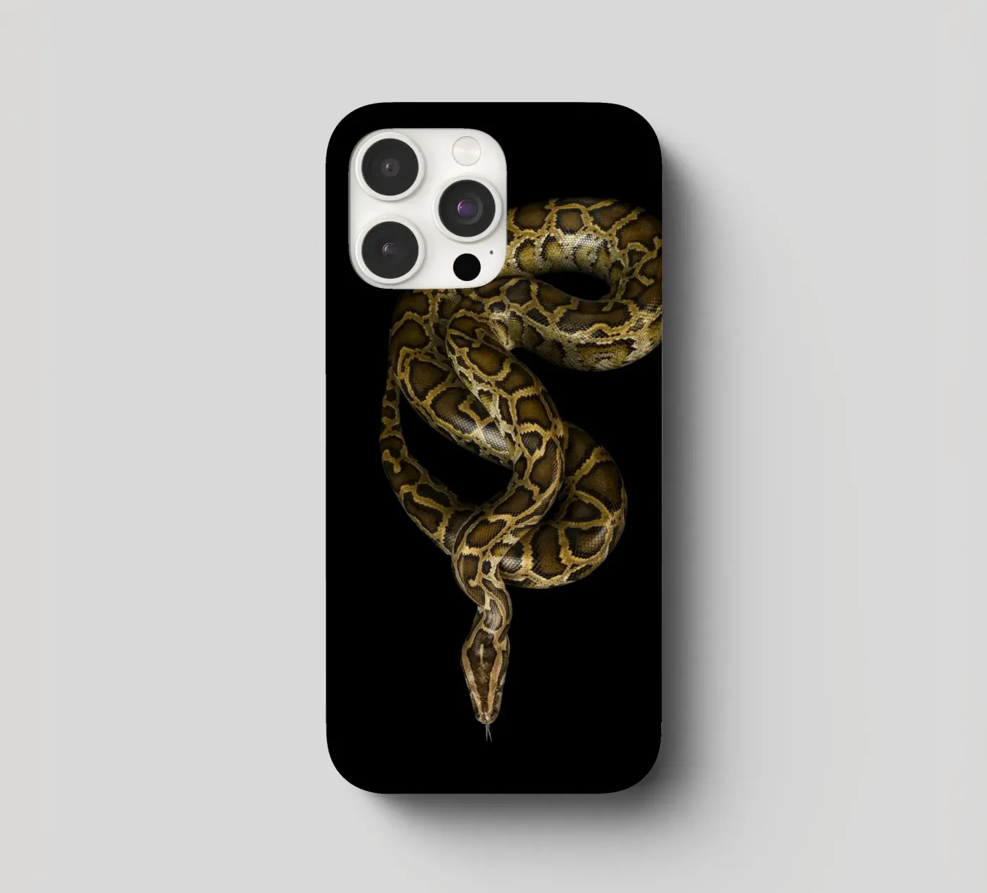 Python iPhone Hülle von Curious Collections by Marielle Leenders