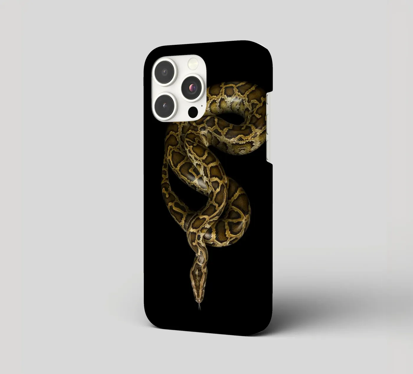 Python iPhone Hülle von Curious Collections by Marielle Leenders