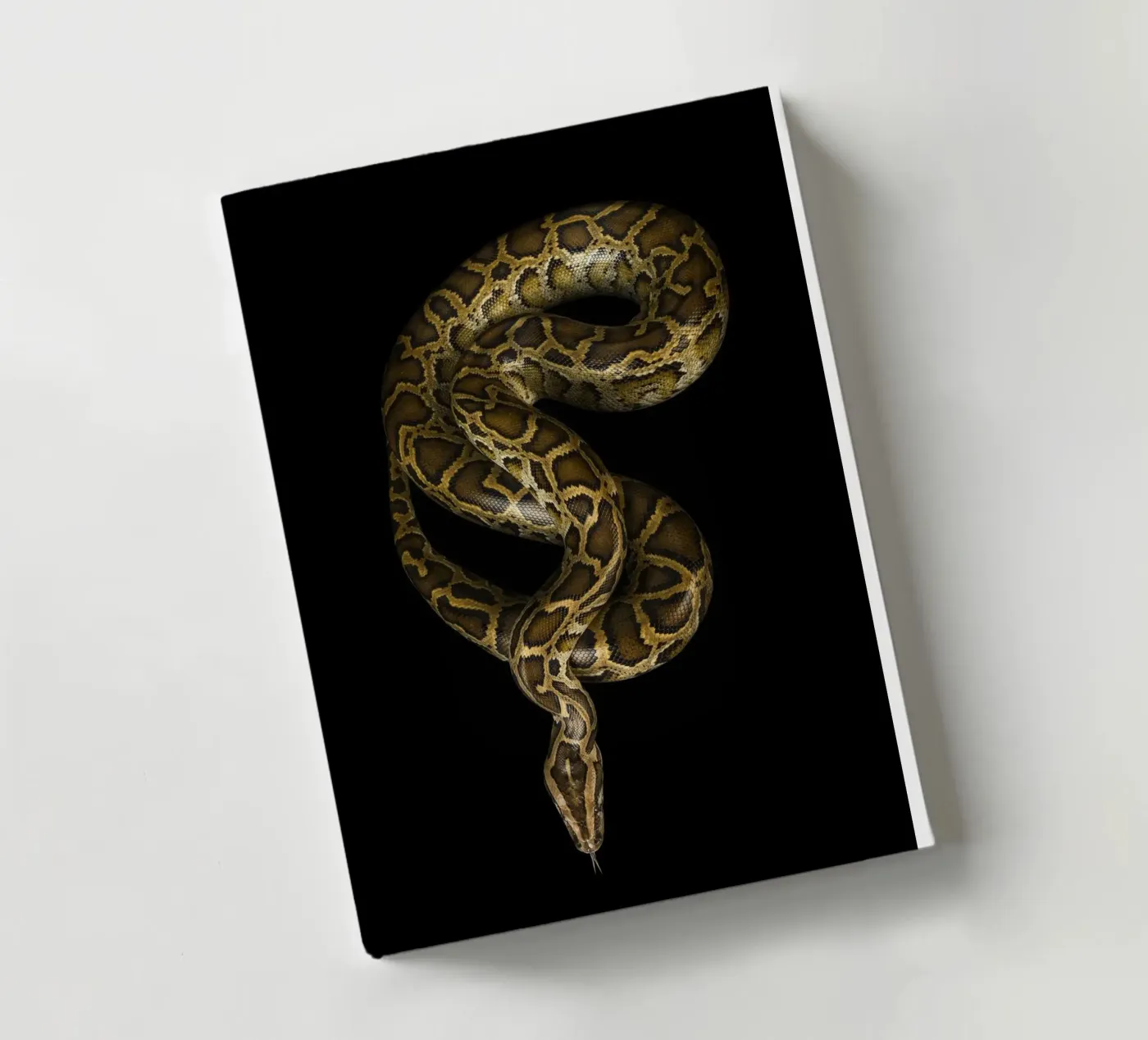 Python Notizbuch von Curious Collections by Marielle Leenders