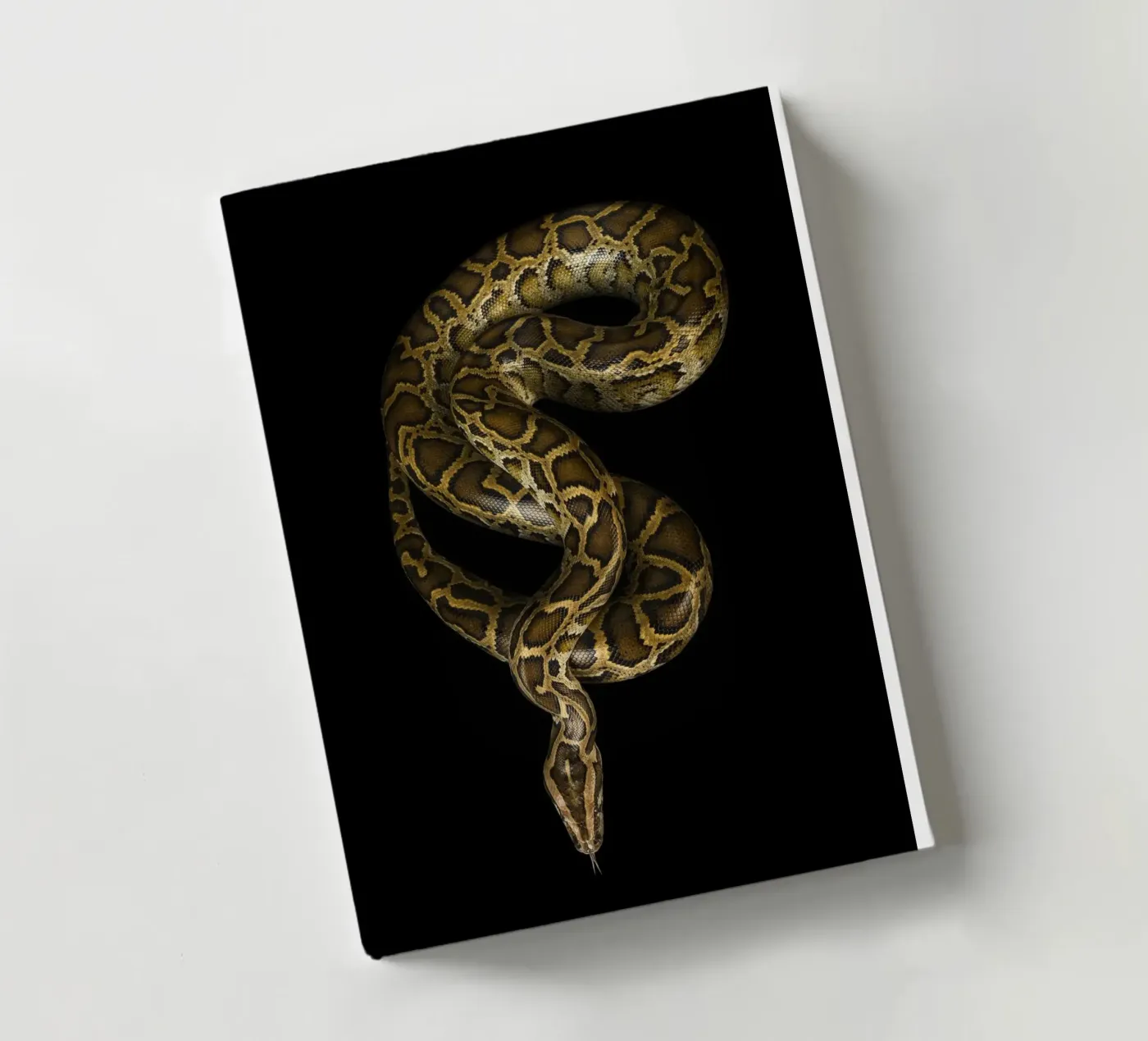 Python carnet de notes de Curious Collections by Marielle Leenders