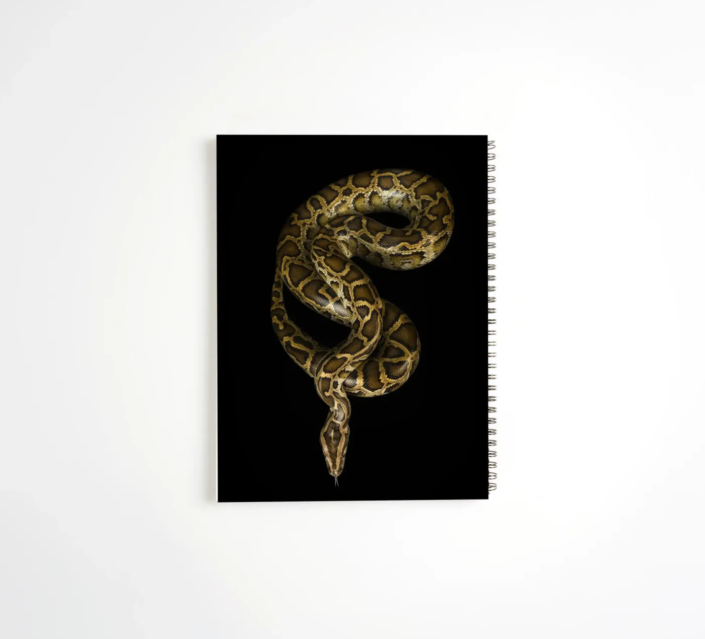 Python carnet à spirale de Curious Collections by Marielle Leenders